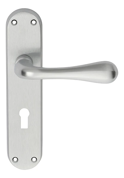 Astro Lever on Backplate - Image 12