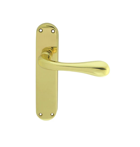 Astro Lever on Backplate - Image 3
