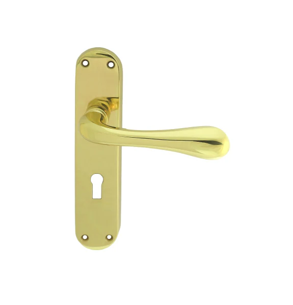 Astro Lever on Backplate - Image 4