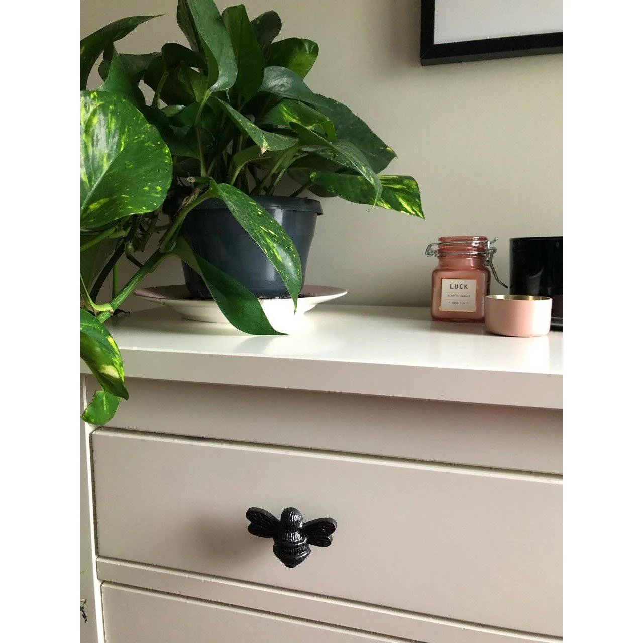 Brass Bee Drawer Cabinet Knob - Black Finish - Image 7