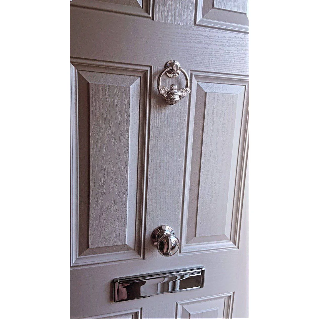 Brass Bumble Bee Ring Door Knocker - Nickel Finish - Image 14