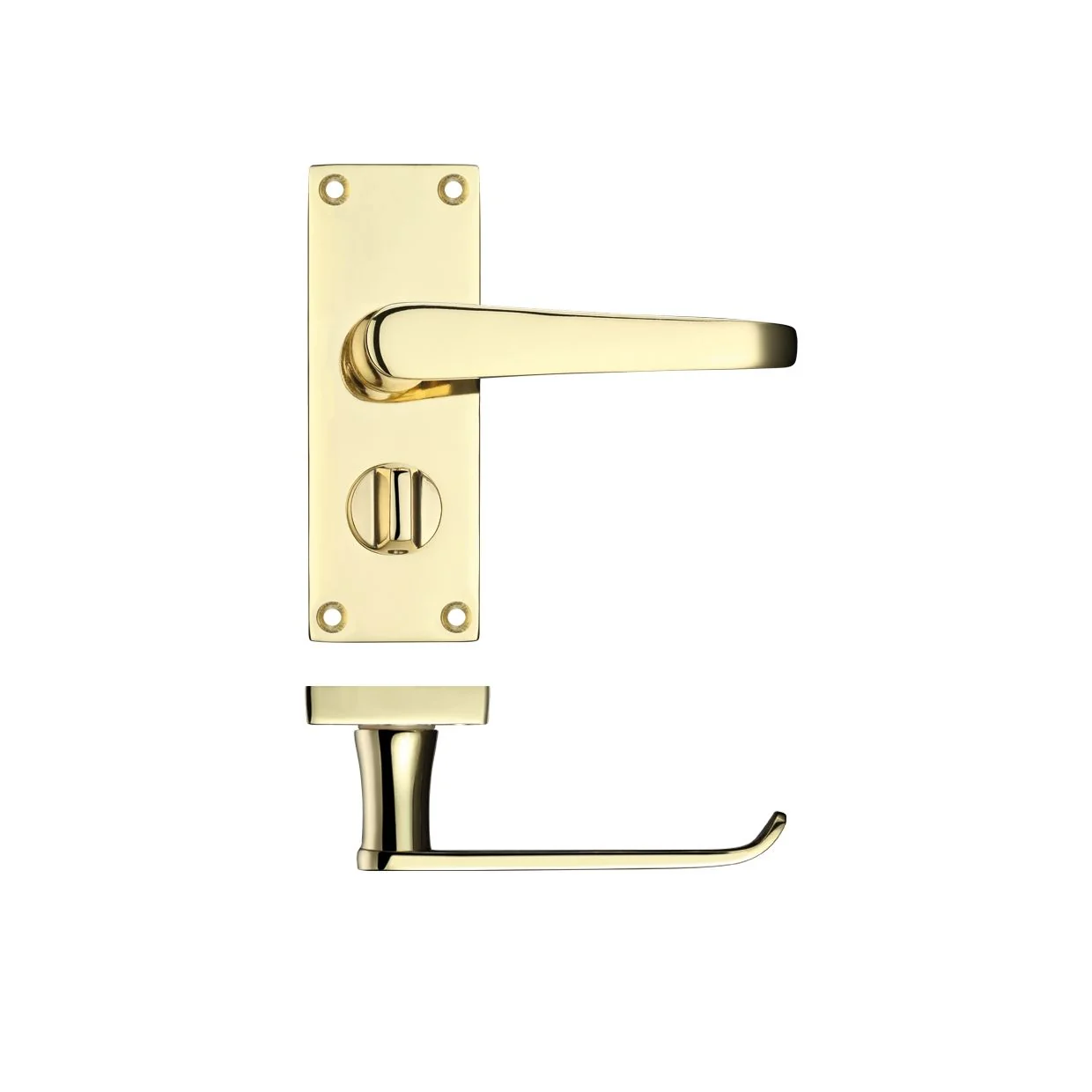Project Victorian Flat Lever on Privacy Backplate 114 x 40mm - Image 5