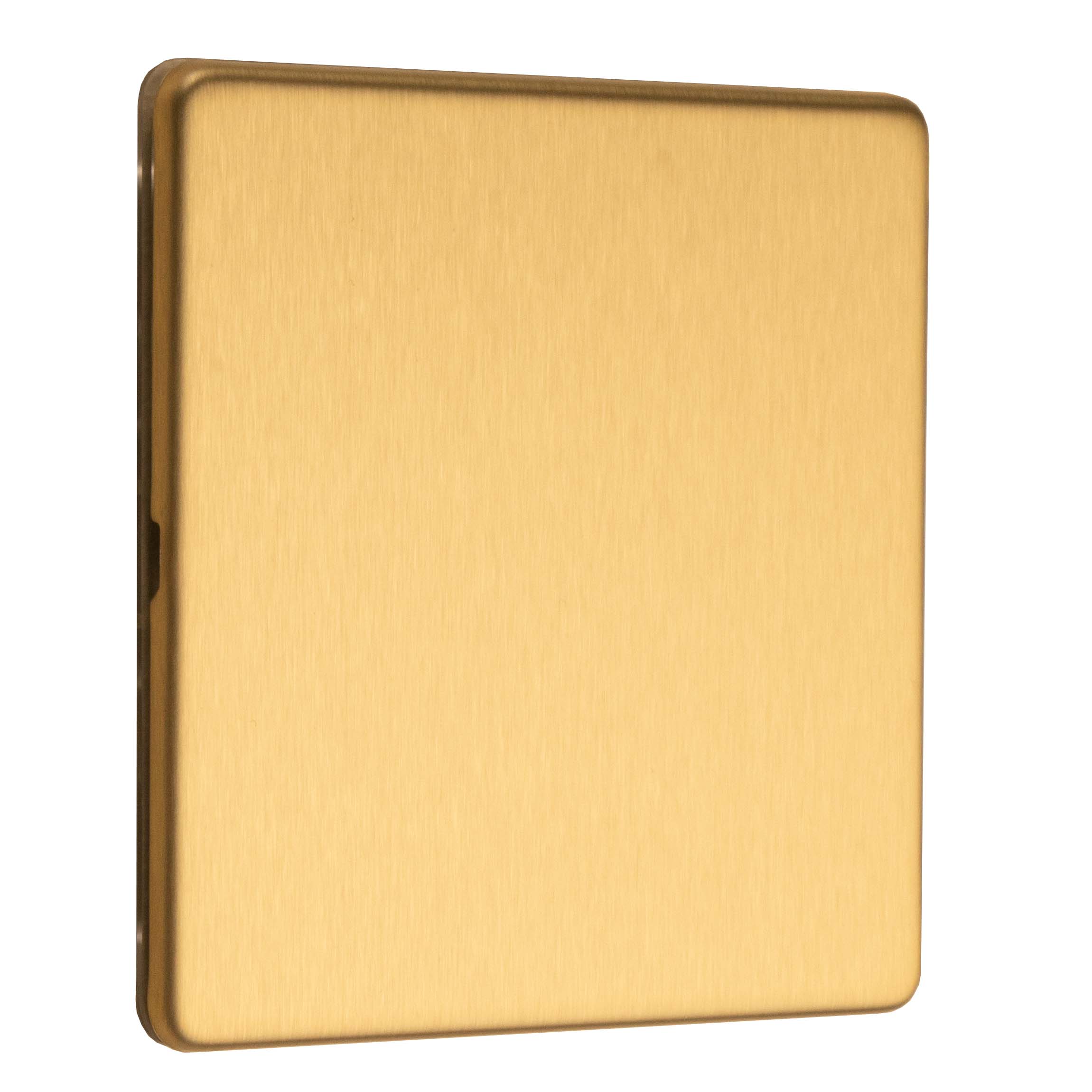 Stainless steel Single Blank Plate - Satin Brass - Image 4