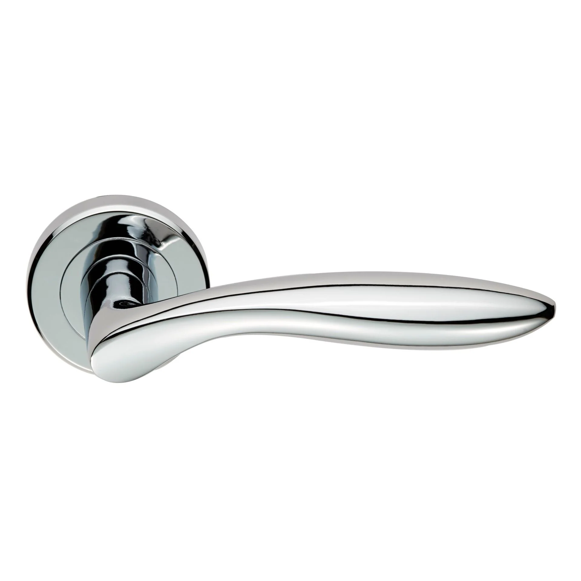 Shark Lever on Rose