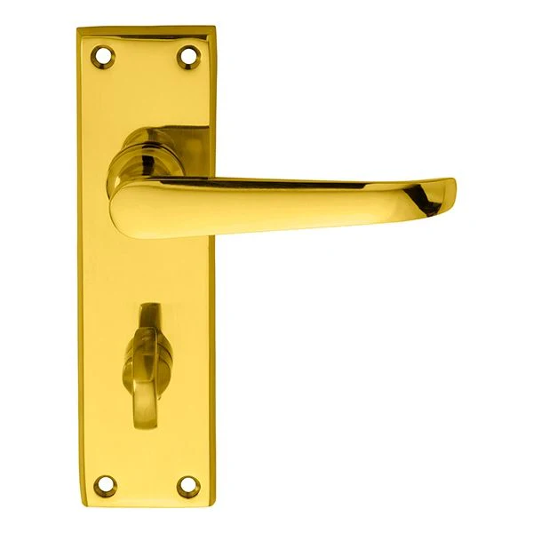 Victorian Ascot Lever on Backplate - Image 3