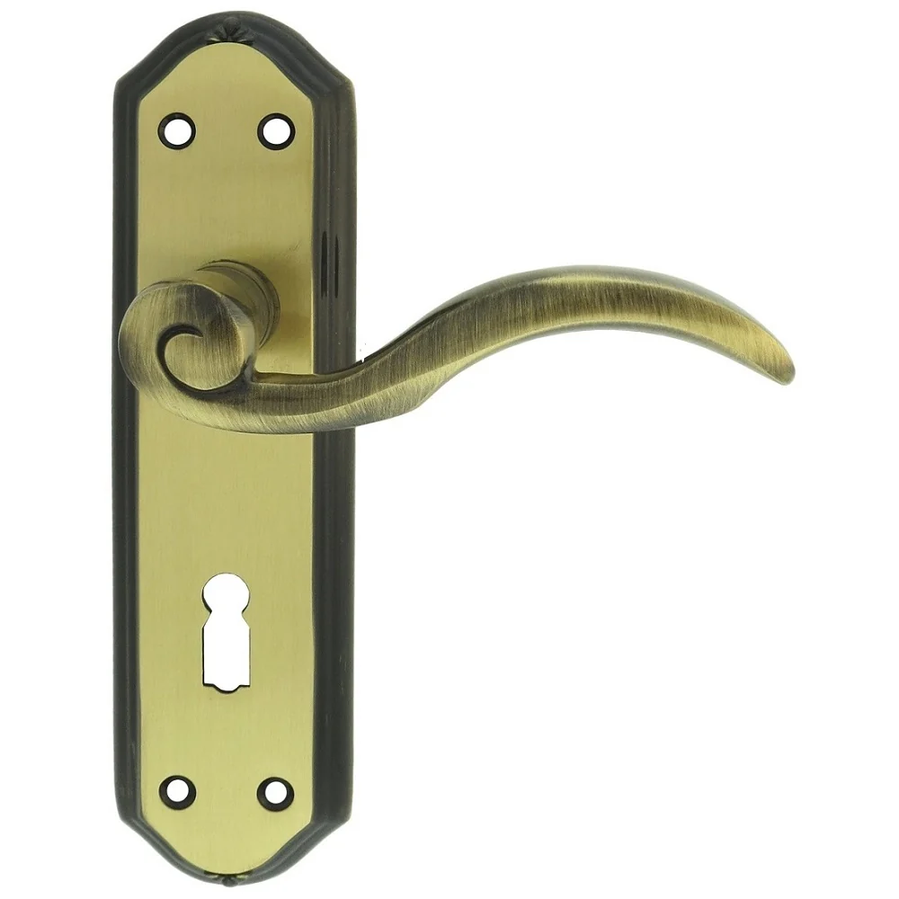 Wentworth Lever on Backplate - Image 3